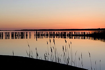 Sunset over the Great Jasmunder Bodden, Ruegen Island, Baltic Sea coast, Mecklenburg-Western Pomerania, Germany, Europe