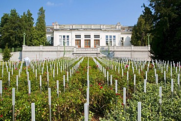 Memorial for the victims of the Spiegelgrund clinic, Baumgartner Hoehe, Vienna, Austria, Europe