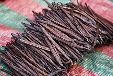 Vanilla capsules (Vanilla planifolia) drying, Manakara, East Coast, Madagascar, Africa