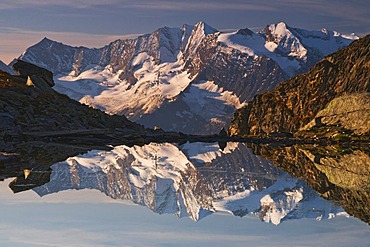 Hochfeiler Mountain reflected in a small mountain lake, Zillertal Alps, Austria, Europe