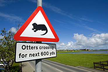 Warning label, "otters crossing", Kirkwall, Orkney Islands, Scotland, United Kingdom, Europe