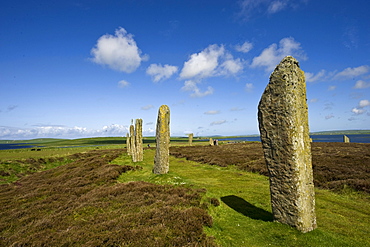 Neolithic ritual place, Ring of Brodgar, Stromness, Orkney Islands, Scotland, United Kingdom, Europe