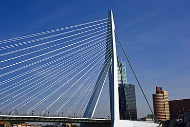 Erasmus Bridge, Rotterdam, South Holland, Holland, Netherlands, Europe