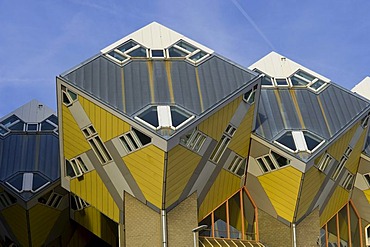 Blaakse Bos, cube architecture, Rotterdam, South Holland, Holland, Netherlands, Europe, PublicGround