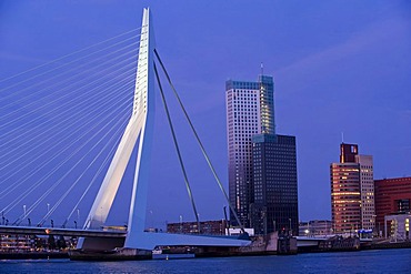 Erasmusbrug bridge and Kop van Zuid district on the Maas River, Rotterdam, South Holland, Holland, Netherlands, Europe