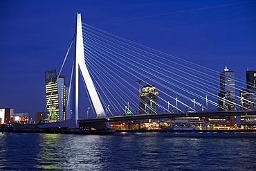 Erasmusbrug bridge and Kop van Zuid district on the Maas River, Rotterdam, South Holland, Holland, Netherlands, Europe