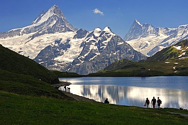 On Bachalpsee Lake, overlooking the Swiss Alps with Mt Schreckhorn and Mt Finsteraarhorn, Grindelwald, Bernese Oberland, Switzerland, Europe