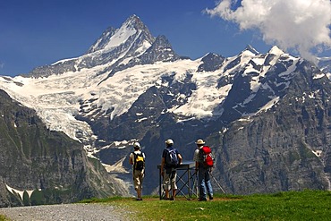 Hikers looking at an information board in front of Mt Schreckhorn and the Upper Grindelwald Glacier, Grindelwald, Bernese Oberland, Switzerland, Europe