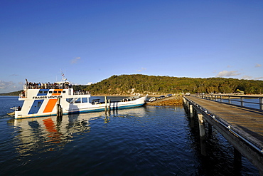 Car ferry at the jetty, Kingfisher Bay, UNESCO World Natural Heritage Site, Fraser Island, Great Sandy National Park, Queensland, Australia