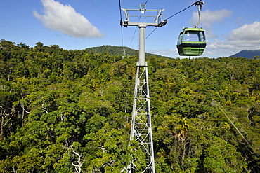 Skyrail Rainforest Cableway, the longest cable car of the world, Kuranda Village, rainforest, Atherton Tablelands, Queensland, Australia