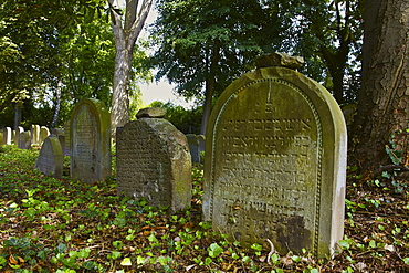 Gravestones in the Jewish cemetery in Bonn Schwarz-Rheindorf, North Rhine-Westphalia, Germany, Europe