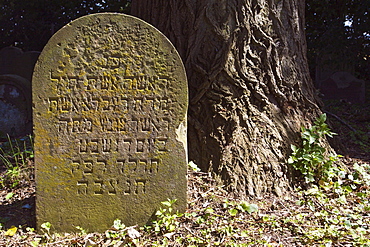 Gravestone in the Jewish cemetery in Bonn Schwarz-Rheindorf, North Rhine-Westphalia, Germany, Europe