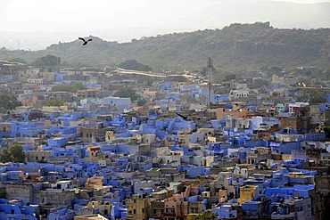 View of Jodhpur from the Mehrangarh Fort, "The Blue City", Rajasthan, North India, India, South Asia, Asia