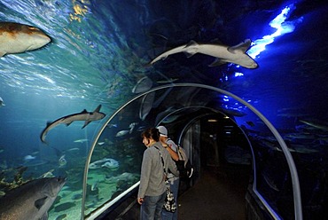 Sea Life and Aquadom, aquariums in the CityQuartier DomAquaree in Berlin Mitte district, Berlin, Germany, Europe