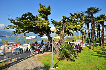 Promenade with sidewalk cafe, Stresa, Lago Maggiore lake, Piedmont, Italy, Europe