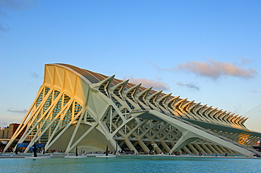 Principe Felipe Museum of Sciences, City of Arts and Sciences by S. Calatrava, Valencia, Comunidad Valenciana, Spain, Europe