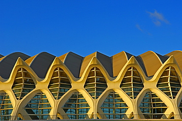 Principe Felipe Museum of Sciences, City of Arts and Sciences by S. Calatrava, Valencia, Comunidad Valenciana, Spain, Europe