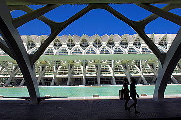 Principe Felipe Museum of Sciences, City of Arts and Sciences by S. Calatrava, Valencia, Comunidad Valenciana, Spain, Europe