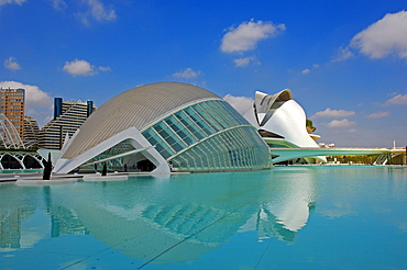 Palace of Arts Reina Sofia, by S. Calatrava, City of Arts and Sciences, Comunidad Valenciana, Valencia, Spain, Europe