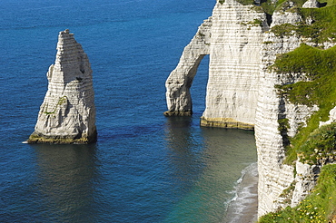 Falaise d'aval, sea cliff, etretat, Cote d'Albatre, Haute-Normandie, Normandy, France, Europe