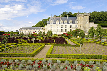 Villandry castle and gardens, Chateau de Villandry, Indre-et-Loire, Touraine, Loire Valley, France, Europe