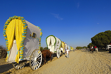 Pilgrims road to el Rocio Village, "Romeria", pilgrimage, to El Rocio, Almonte, Huelva province, Andalucia, Spain, Europe