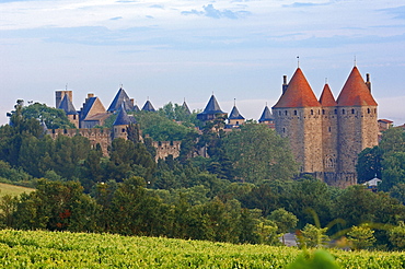 La Cite, Carcassonne medieval fortified town, Aude, Languedoc-Roussillon, France, Europe