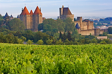La Cite, Carcassonne medieval fortified town, Aude, Languedoc-Roussillon, France, Europe