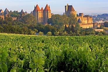 La Cite, Carcassonne medieval fortified town, Aude, Languedoc-Roussillon, France, Europe