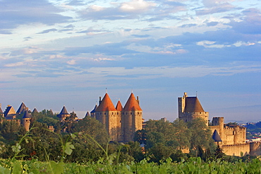 La Cite, Carcassonne medieval fortified town, Aude, Languedoc-Roussillon, France, Europe