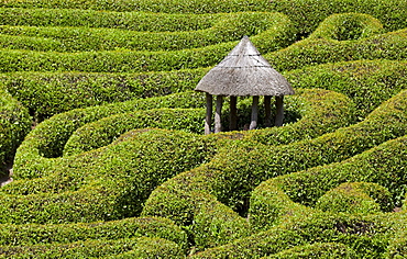 Maze Glendurgan Garden, Falmouth, Cornwall, England, United Kingdom, Europe