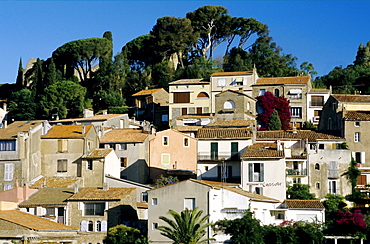 Bormes-les-Mimosas, Provence-Alpes-Cote d'Azur, Var, Southern France, France, Europe