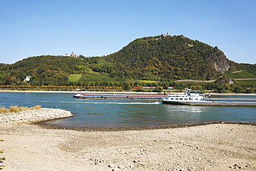 Cargo ships on the Rhine river at low water, river bed, Mt. Drachenfels, between Mehlem and Rolandswerth, North Rhine-Westphalia, Germany, Europe