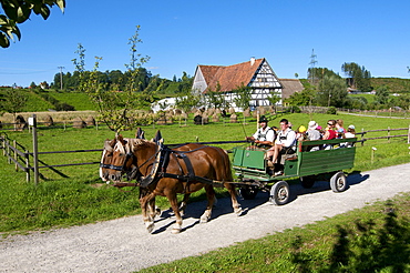 Swabian Farm Museum, Illerbeuren, Upper Swabia, Allgaeu, Bavaria, Germany, Europe