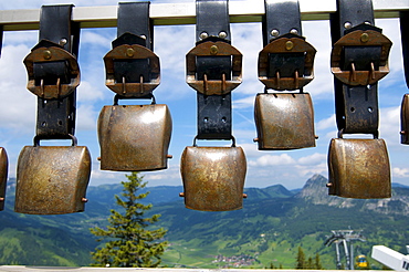 Cowbells on Mt. Neunerkoepfle, Tannheim, Tannheimer Tal valley, Allgaeu, Tyrol, Austria, Europe