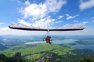 Hang glider on Tegelberg mountain, Fuessen, Allgaeu, Bavaria, Germany, Europe