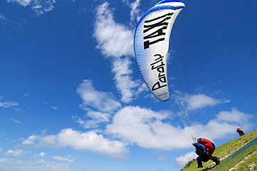 Paragliders, taxi, tandem flight, Tegelberg mountain, Fuessen, Allgaeu, Bavaria, Germany, Europe