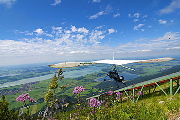 Hang glider on Tegelberg mountain with a view over Forggensee Lake, Fuessen, Allgaeu, Bavaria, Germany, Europe