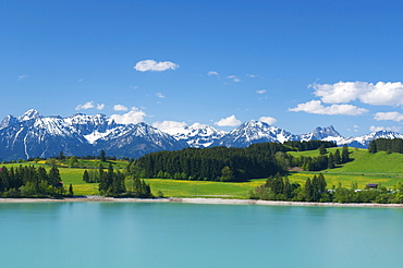 Lake Forggensee, Allgaeu, Bavaria, Germany, Europe