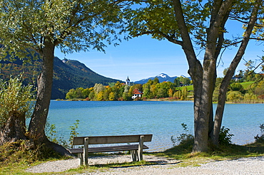 Weissensee beside Lake Weissensee, Allgaeu, Bavaria, Germany, Europe