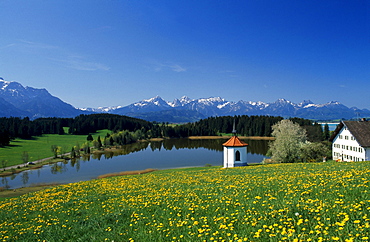 Hergratsrieder Lake, Ostallgaeu, Allgaeu, Bavaria, Germany, Europe