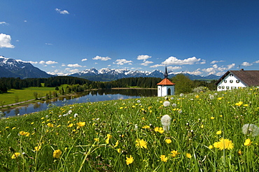 Hergratsrieder Lake, Ostallgaeu, Allgaeu, Bavaria, Germany, Europe