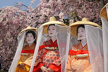 Japanese women in costumes from the Heian period, procession participants, Hirano Shrine, Kyoto, Japan, East Asia, Asia