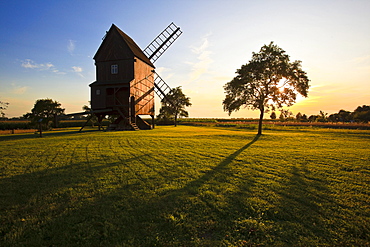 Windmill in the evening sun in Altbelgern on the Elbe river, Brandenburg, Germany, Europe
