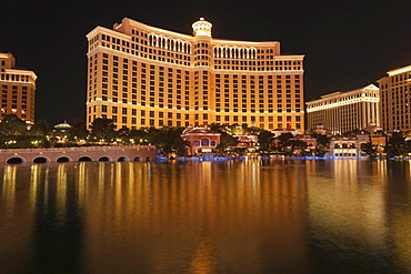 Hotel Bellagio, Bracken, Las Vegas, Nevada, USA, North America