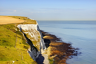 View of the White Cliffs of Dover, Kent, England, UK, Europe