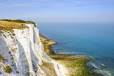 View of the White Cliffs of Dover, Kent, England, UK, Europe