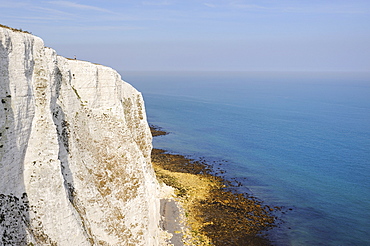 View of the White Cliffs of Dover, Kent, England, UK, Europe