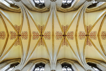 Ribbed vault in St. Andrew's Cathedral, Wells, County Somerset, England, United Kingdom, Europe