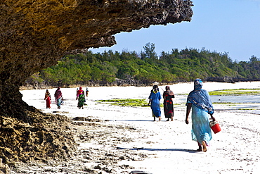 Women carry their caught fish in buckets, Zanzibar, Tanzania, Africa